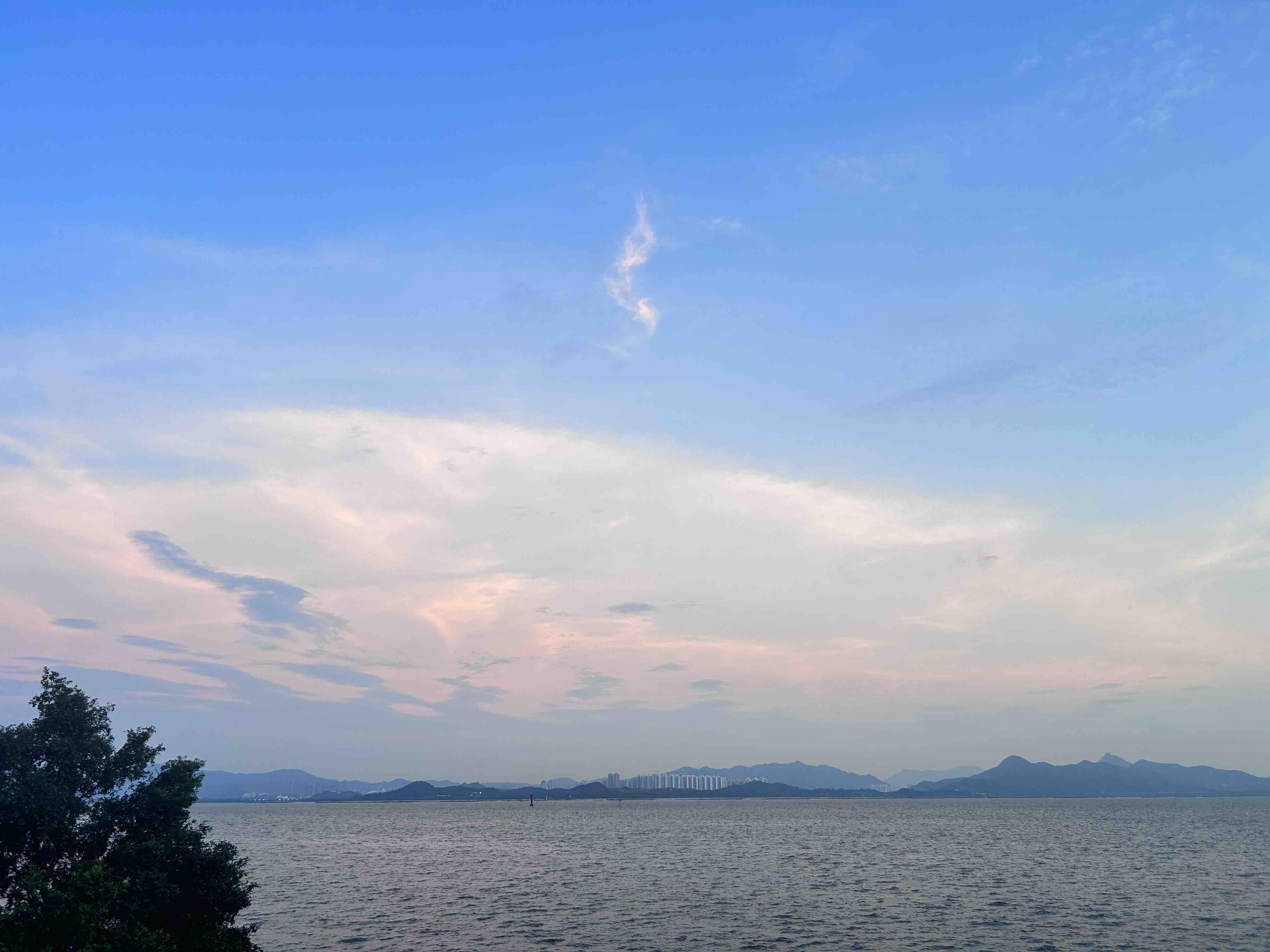 深圳湾
