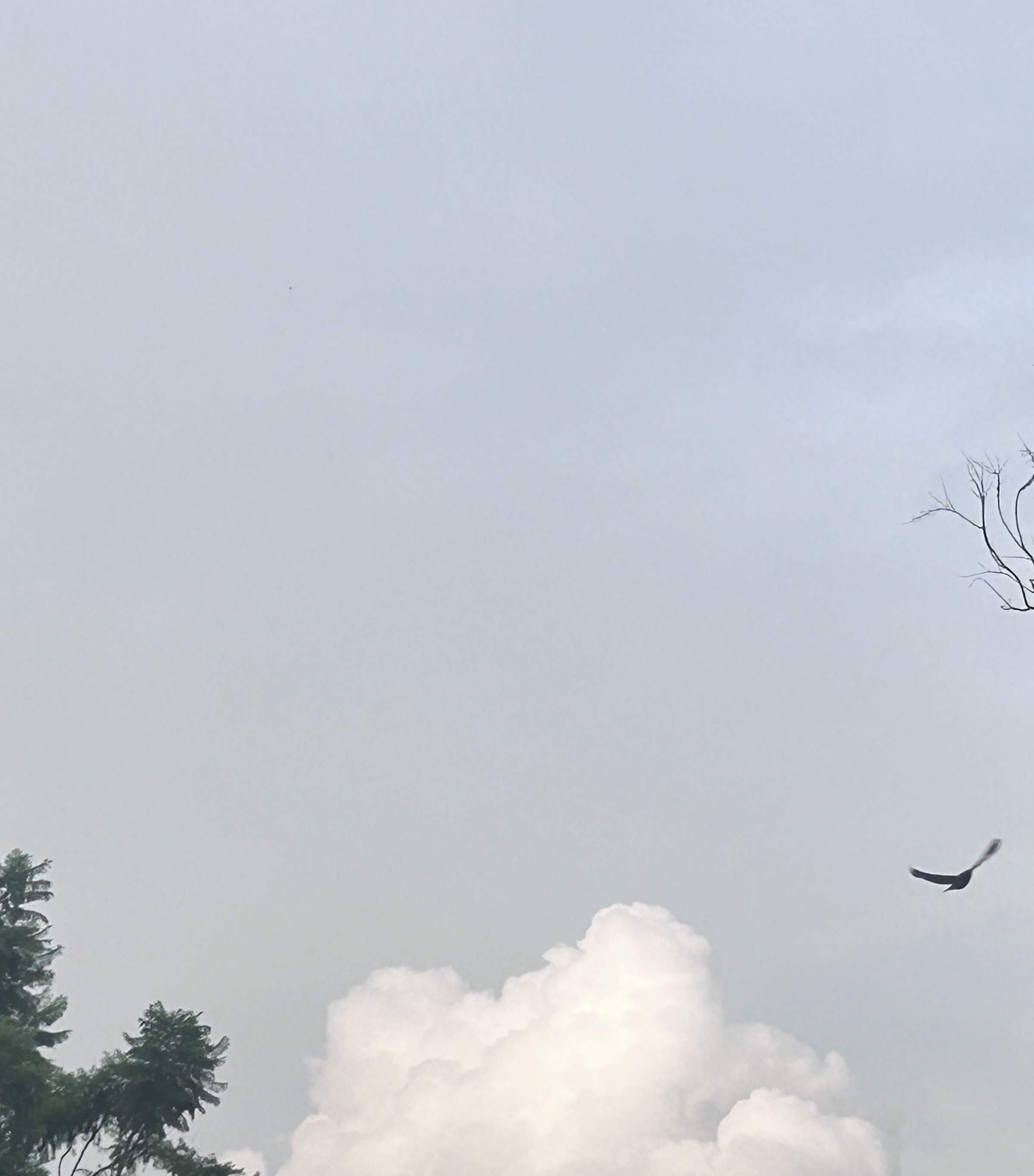 下班途中